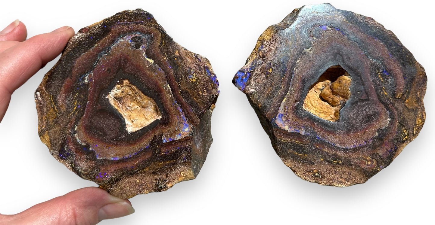 Giant Boulder Opal Yowah Nut Matching Pair