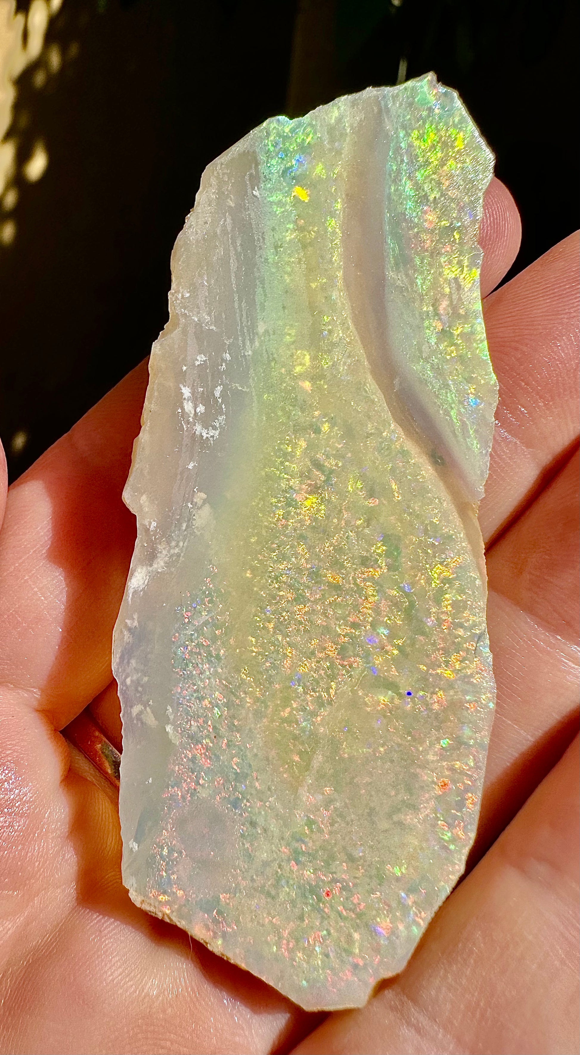 Australian Lambina Rough Uncut Opals