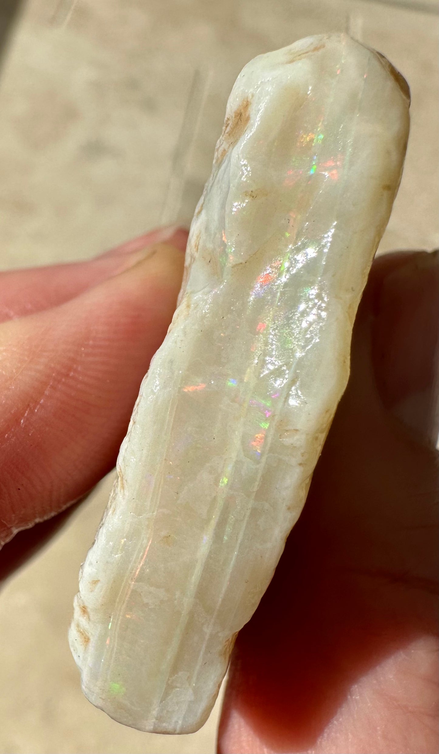 Large Mintabie uncut rough opal - Opal Essence Wholesalers 