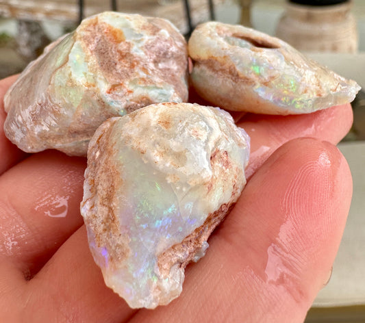 3 opalisierten Herzmuschelschalen 157,07cts