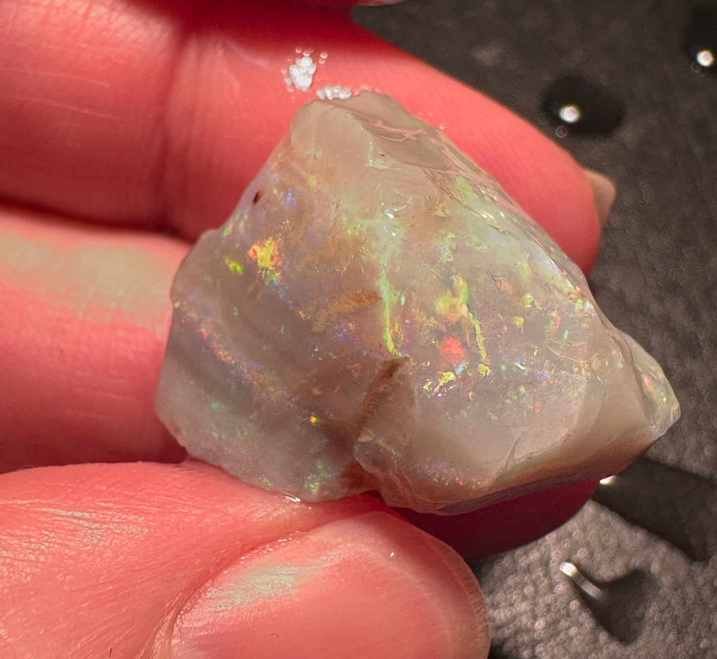 Opal Essence Australian Lambina Rough Grey Base opal multicolored Unset 