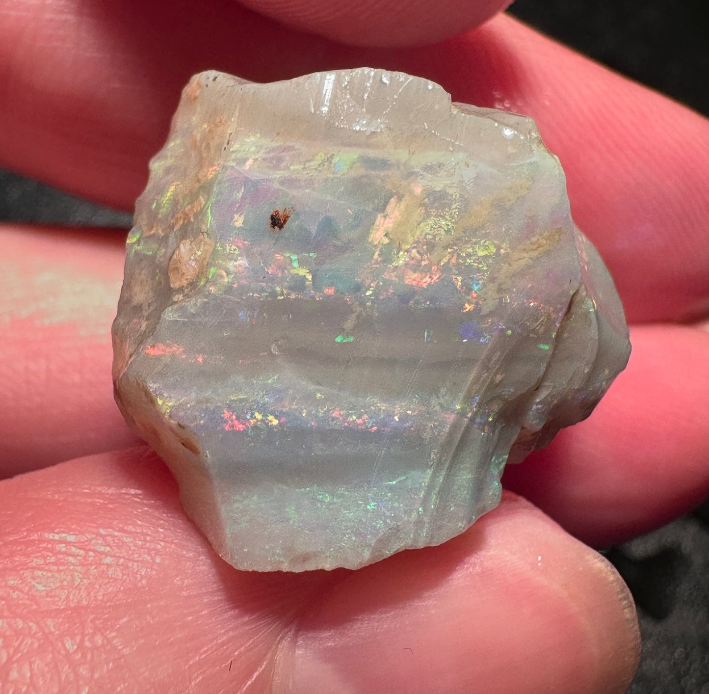 Opal Essence Australian Lambina Rough Grey Base opal multicolored Unset 