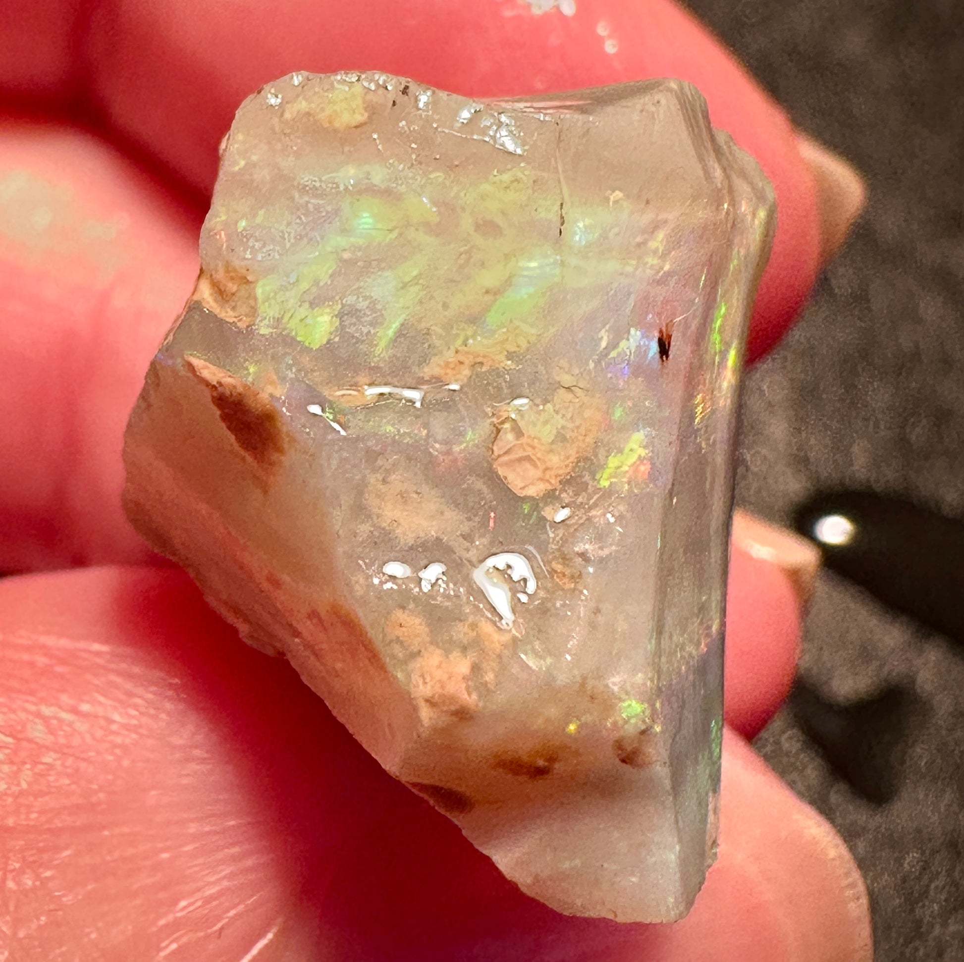 Opal Essence Australian Lambina Rough Grey Base opal multicolored Unset 