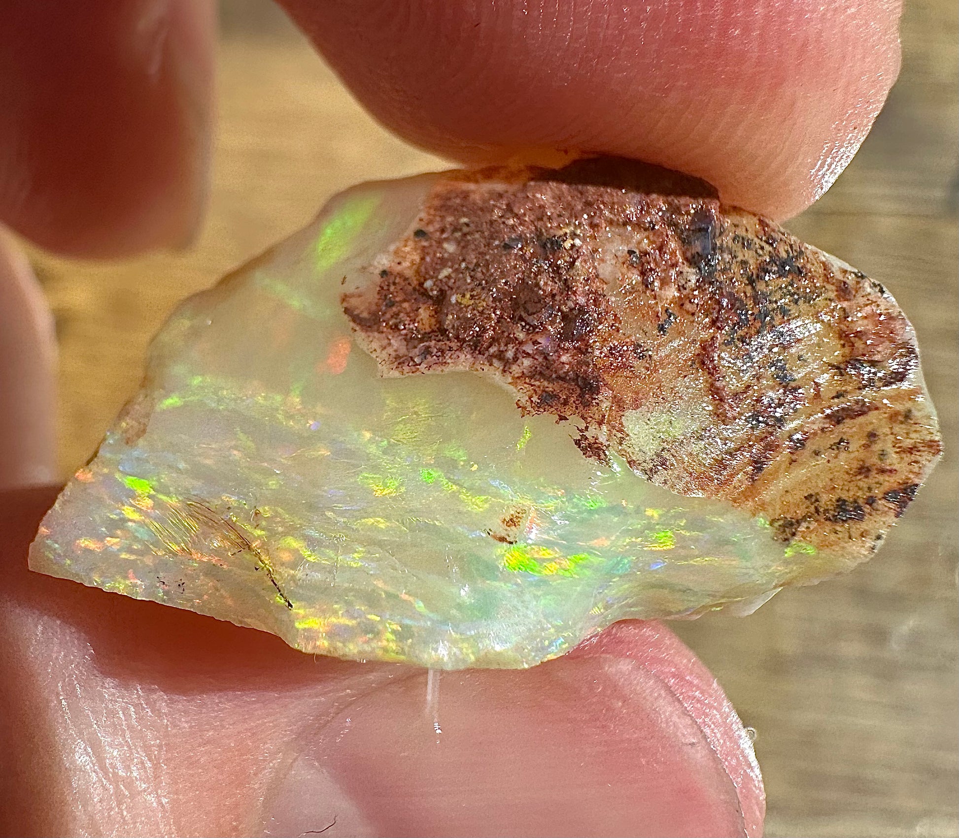 Australian Lambina Rough Uncut Opals - Opal Essence Wholesalers 