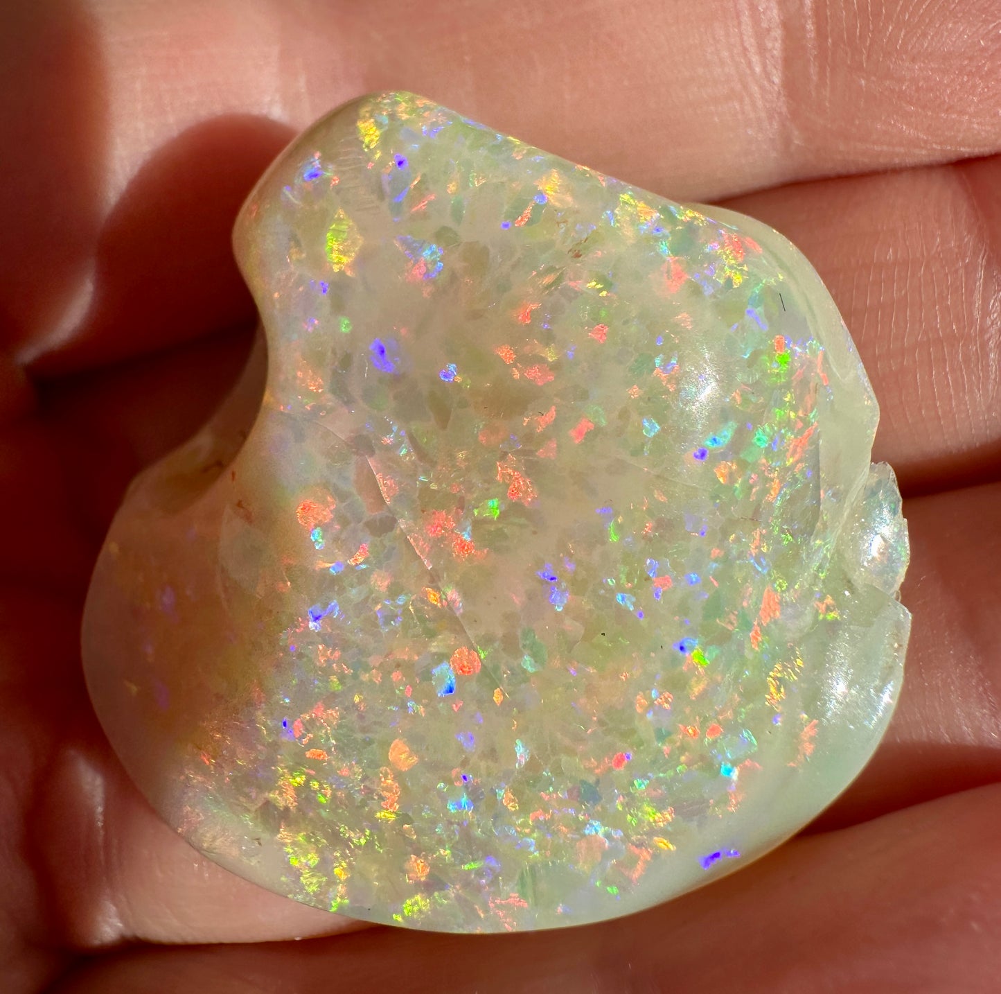 Opal Essence Opalized Cockle Shell multicoloured Pendant 