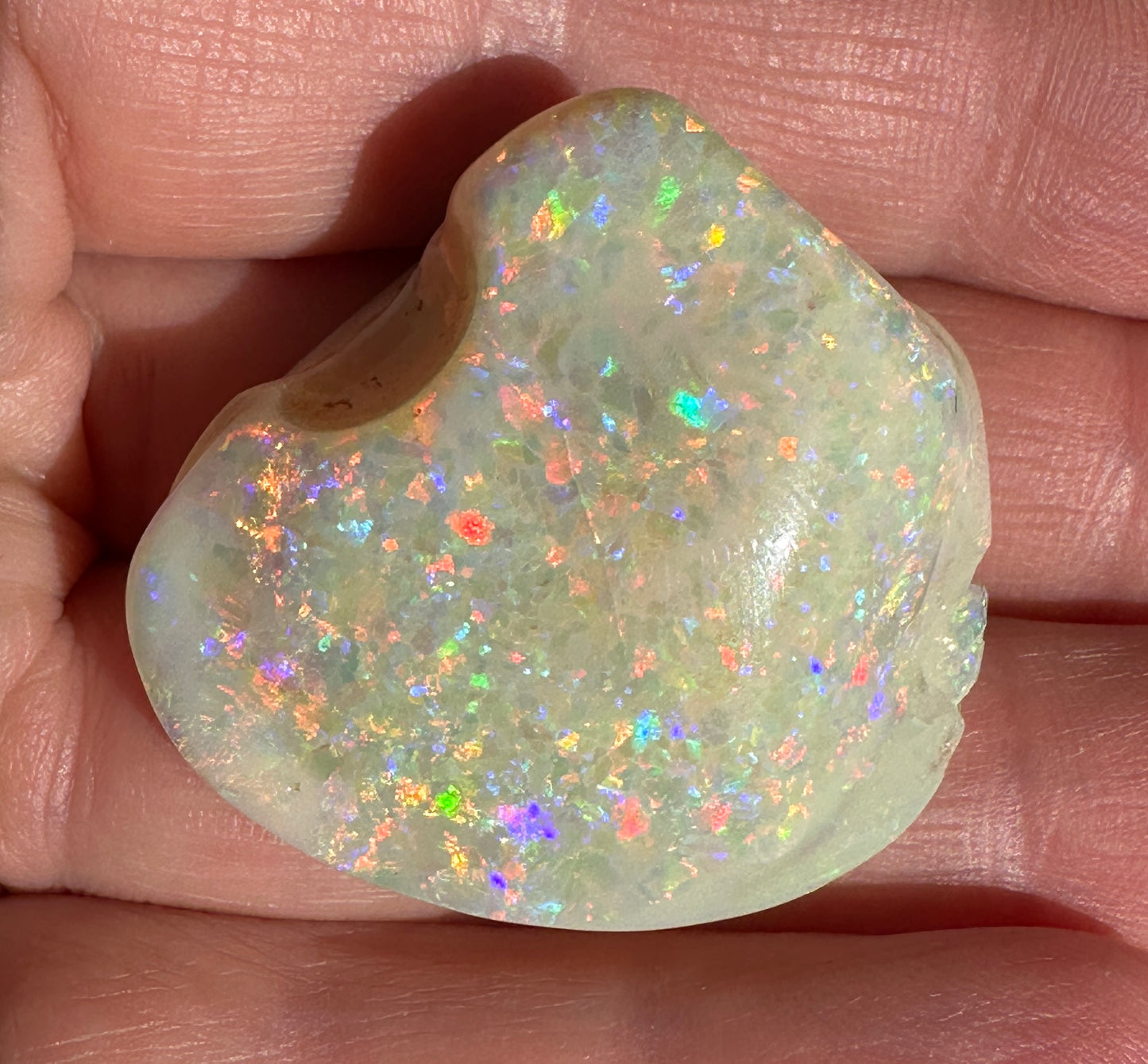 Opal Essence Opalized Cockle Shell multicoloured Pendant 