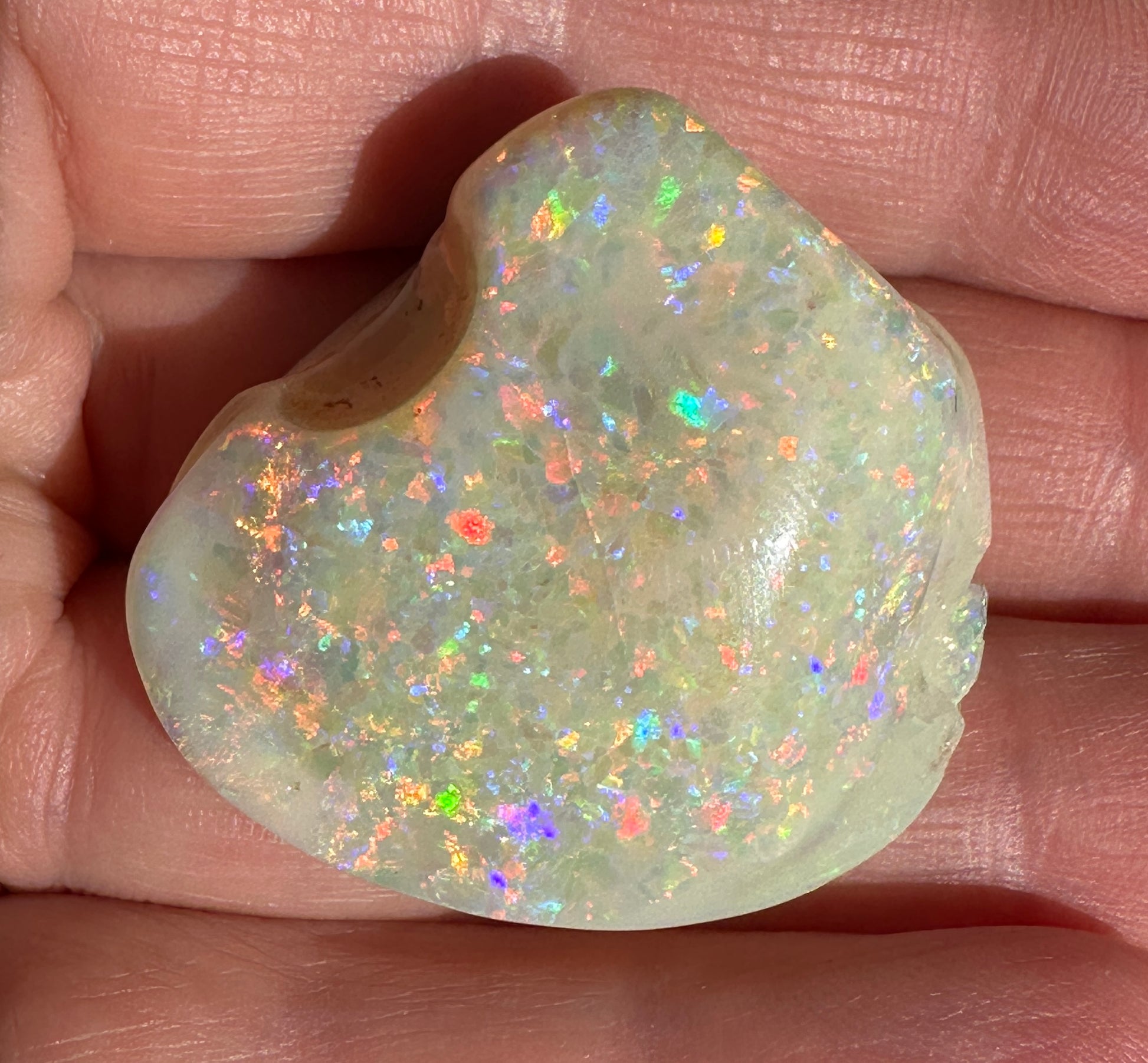 Opal Essence Opalized Cockle Shell multicoloured Pendant 