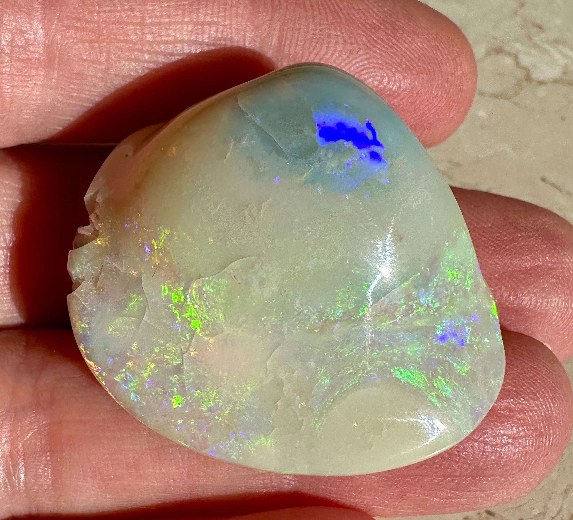 Opal Essence Opalized Cockle Shell multicoloured Pendant 