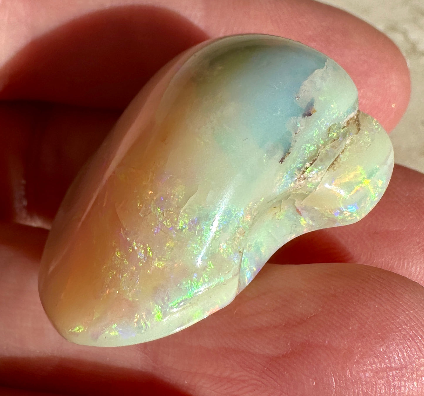 Opal Essence Opalized Cockle Shell multicoloured Pendant 