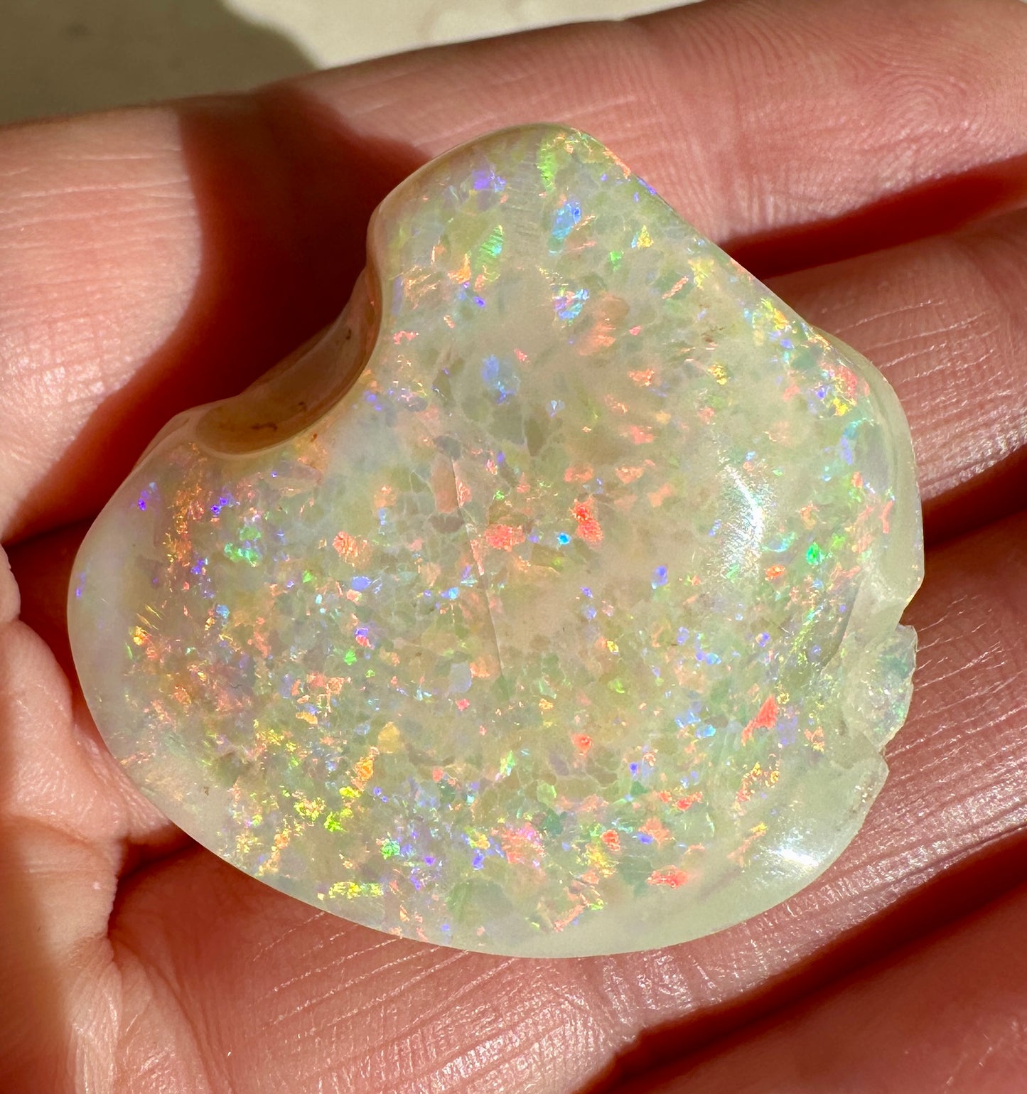 Opal Essence Opalized Cockle Shell multicoloured Pendant 