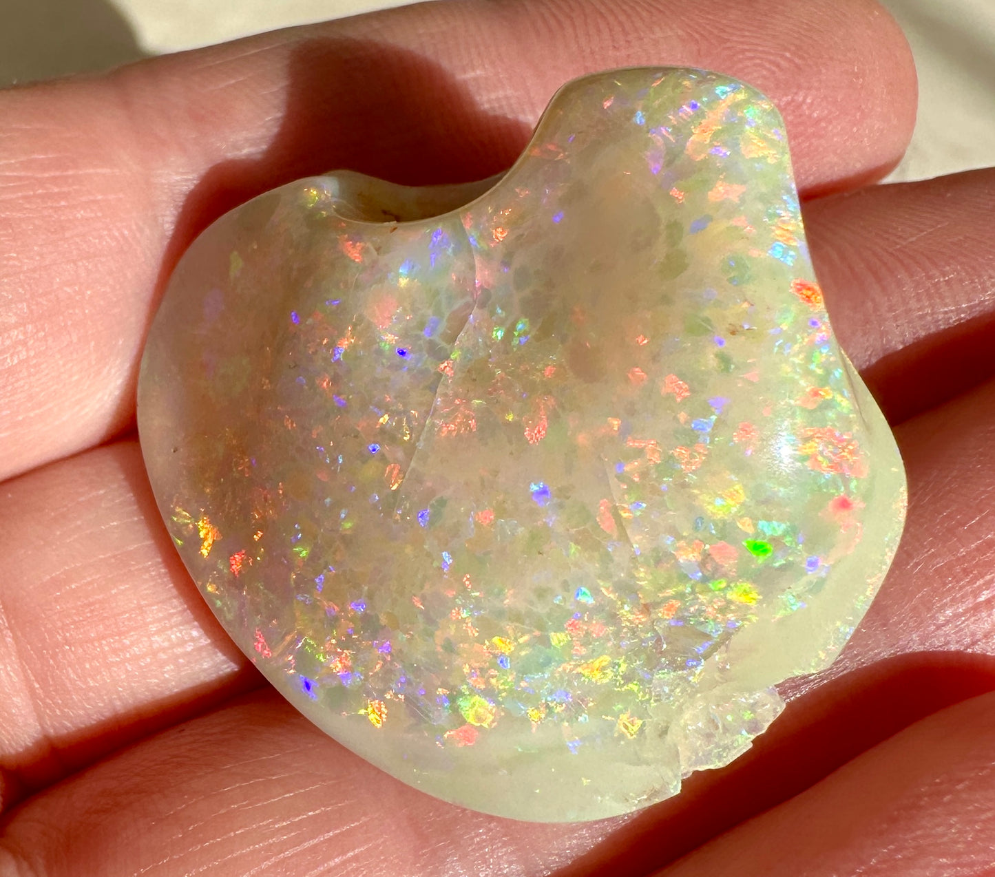 Opal Essence Opalized Cockle Shell multicoloured Pendant 