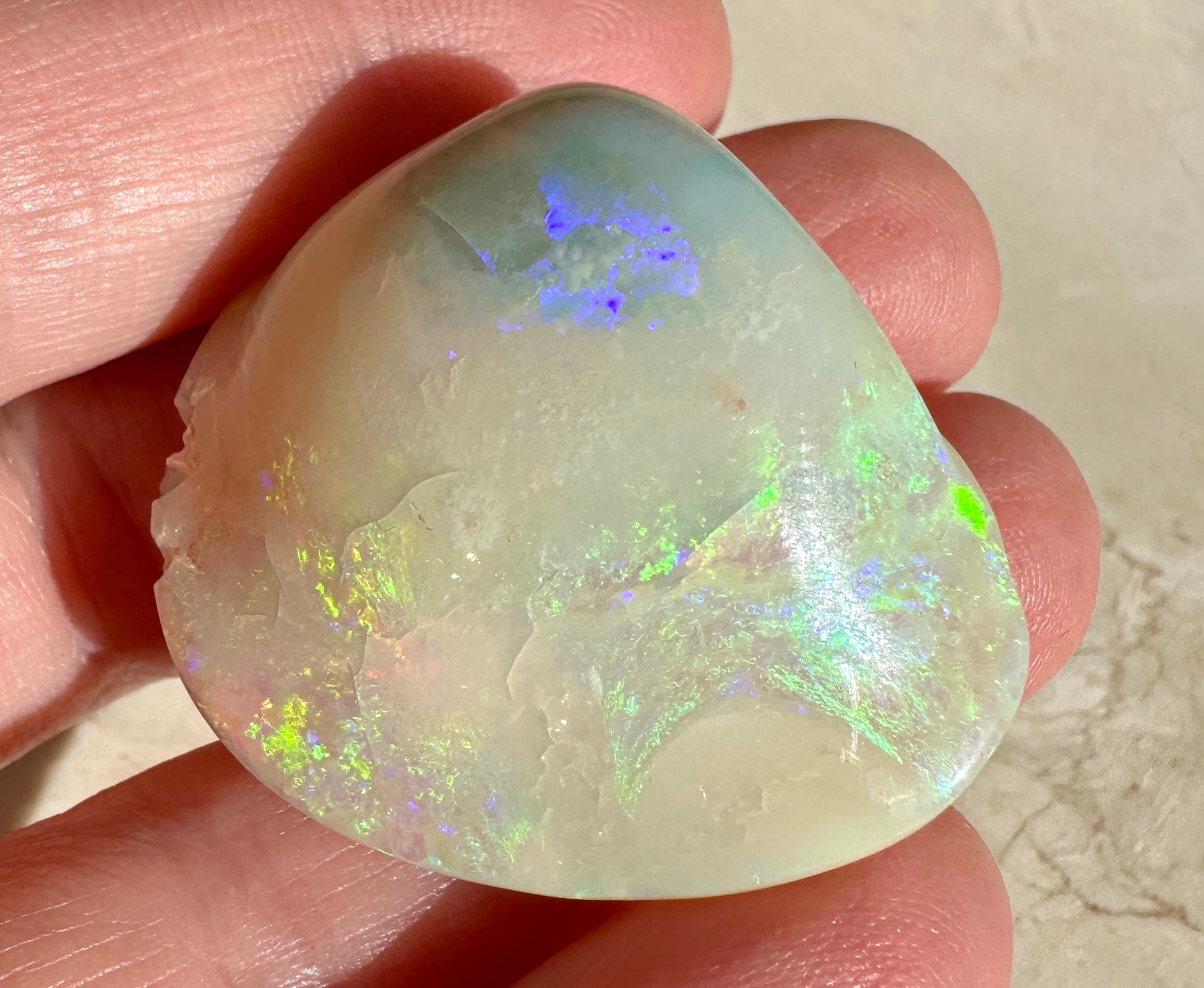 Opal Essence Opalized Cockle Shell multicoloured Pendant 
