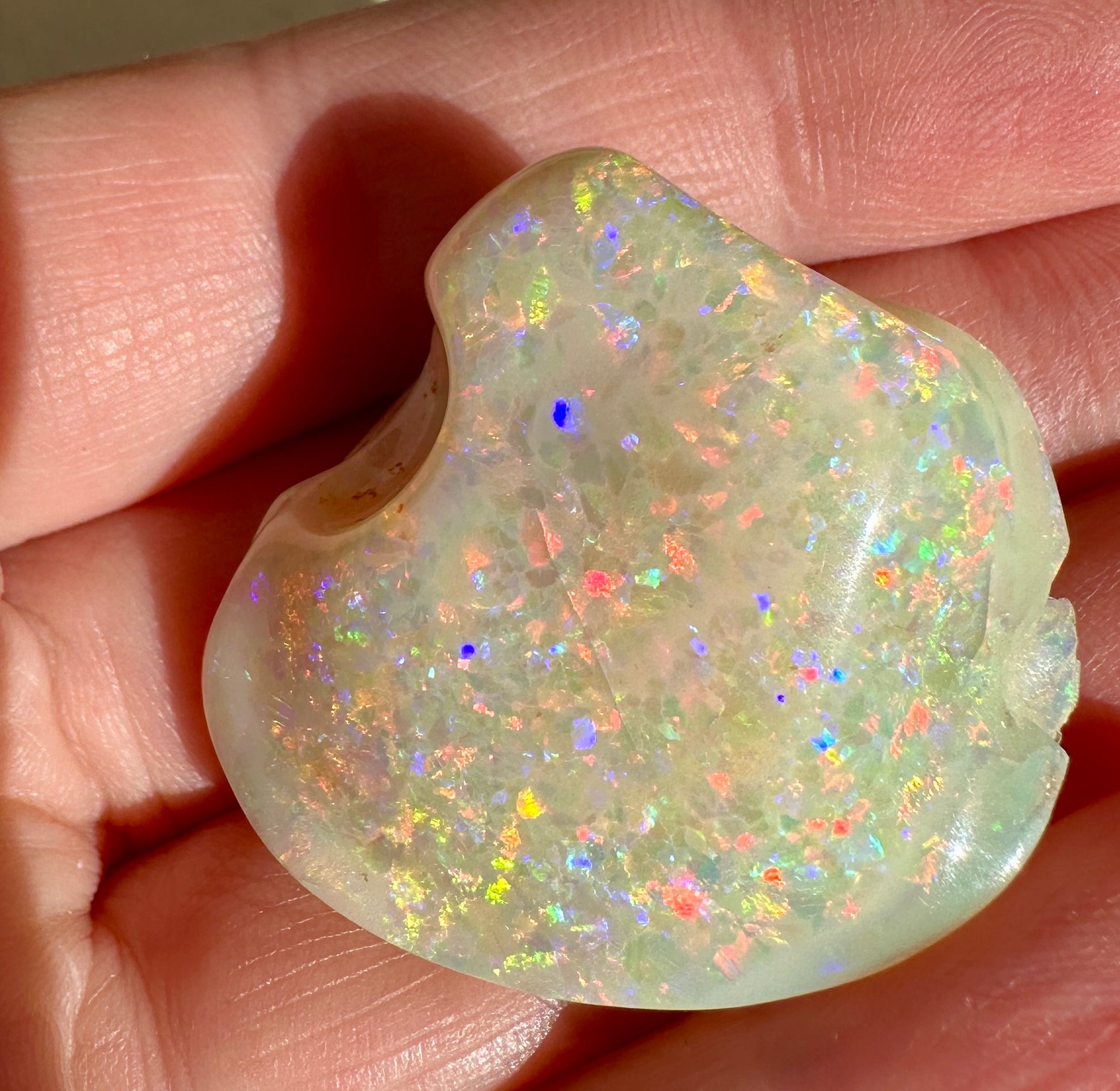 Opal Essence Opalized Cockle Shell multicoloured Pendant 