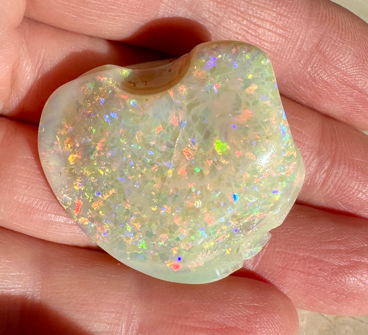 Opal Essence Opalized Cockle Shell multicoloured Pendant 