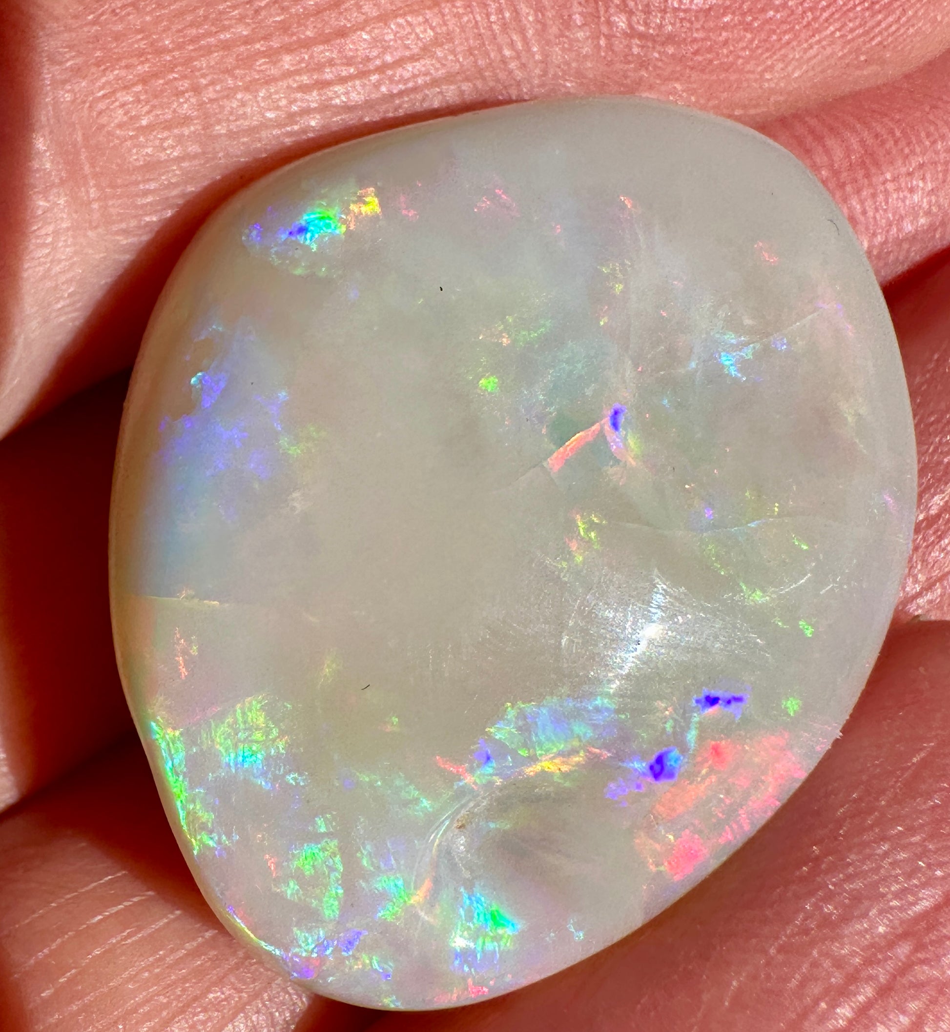 Opal Essence Opalized Cockle Shell multicoloured Pendant 