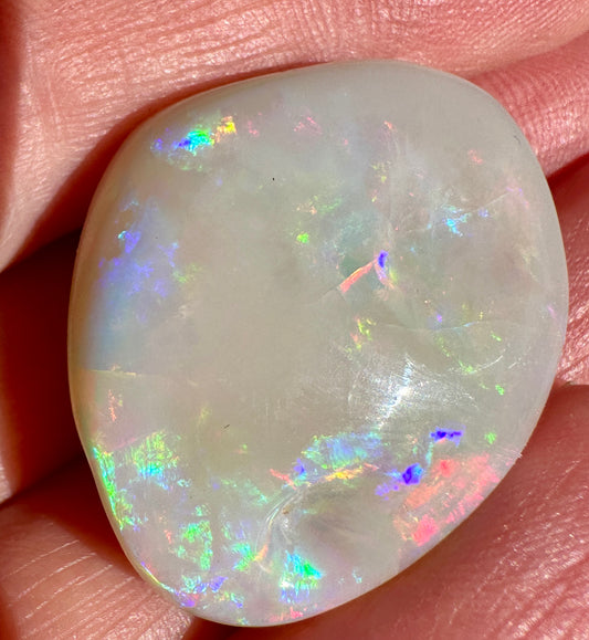 Opal Essence Opalized Cockle Shell multicoloured Pendant 