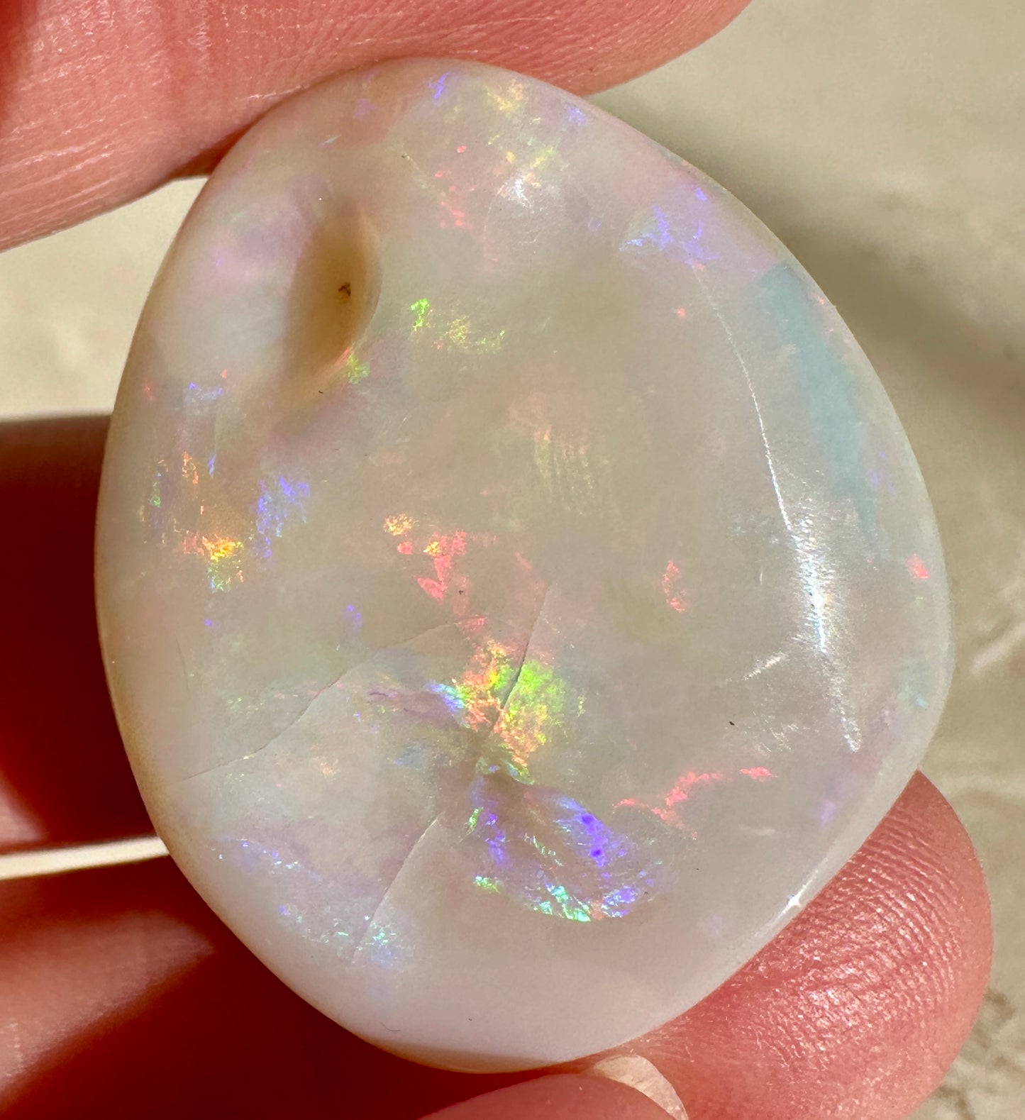 Opal Essence Opalized Cockle Shell multicoloured Pendant 