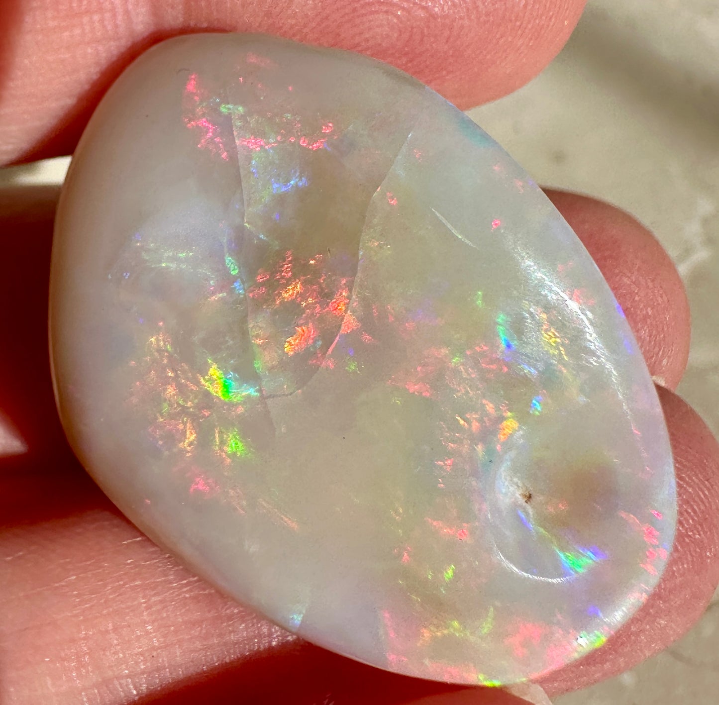 Opal Essence Opalized Cockle Shell multicoloured Pendant 