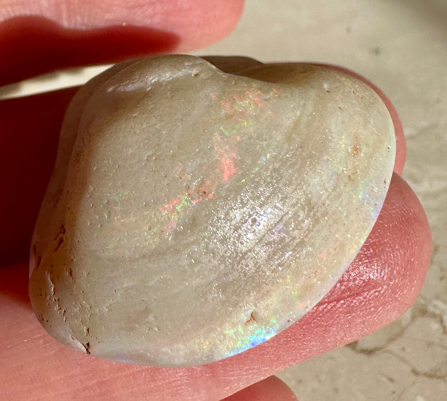 Opal Essence Opalized Cockle Shell multicoloured Pendant 