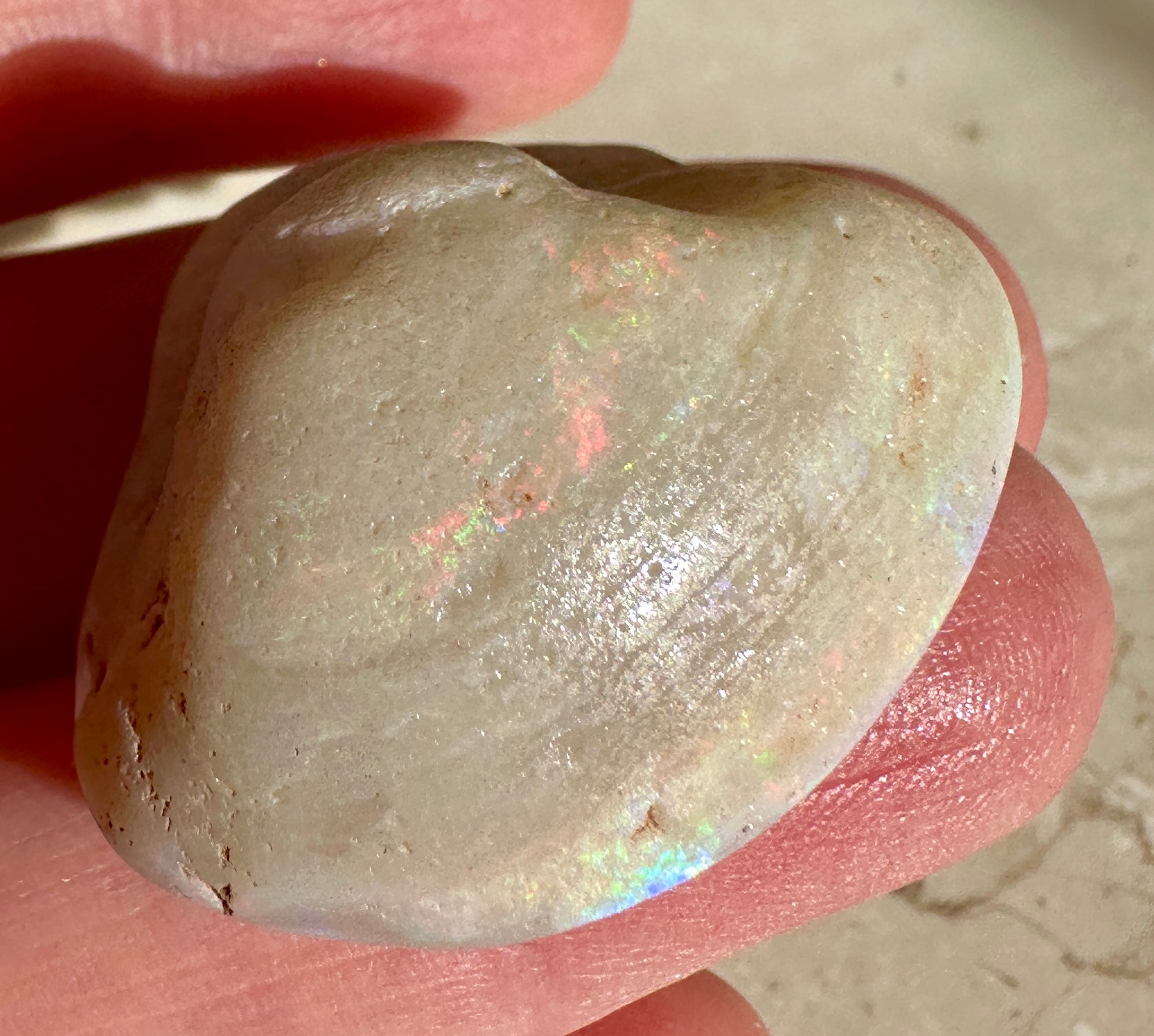 Opal Essence Opalized Cockle Shell multicoloured Pendant 