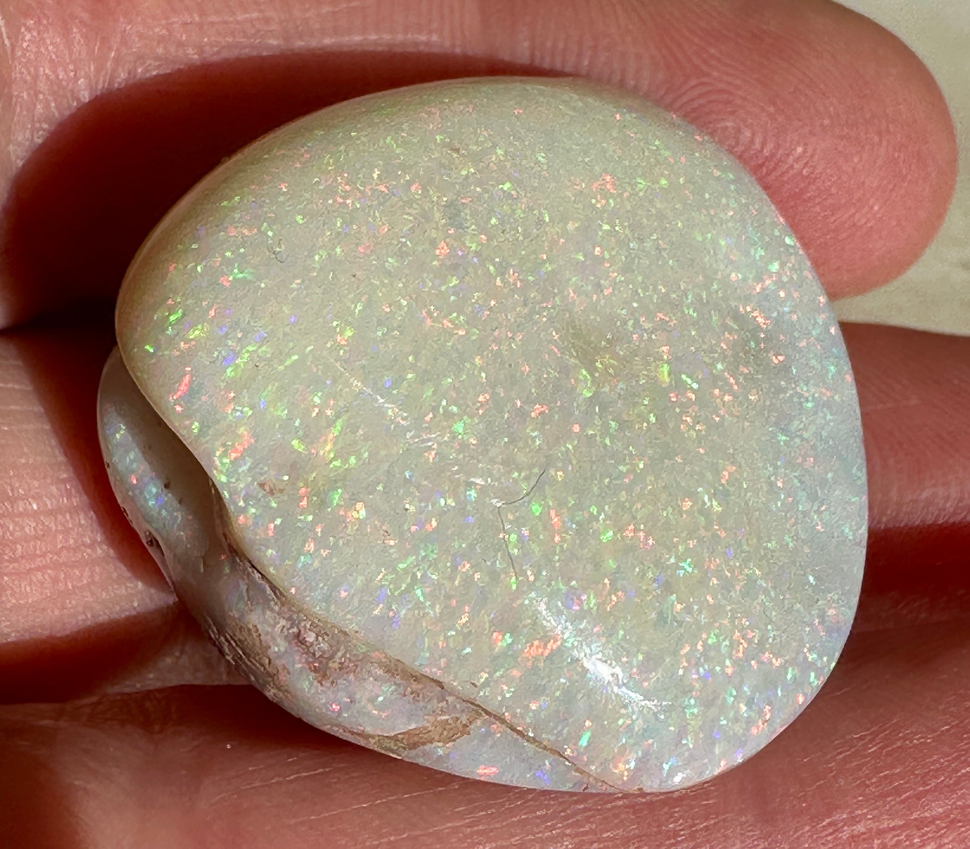 Opal Essence Opalized Cockle Shell multicoloured Pendant 