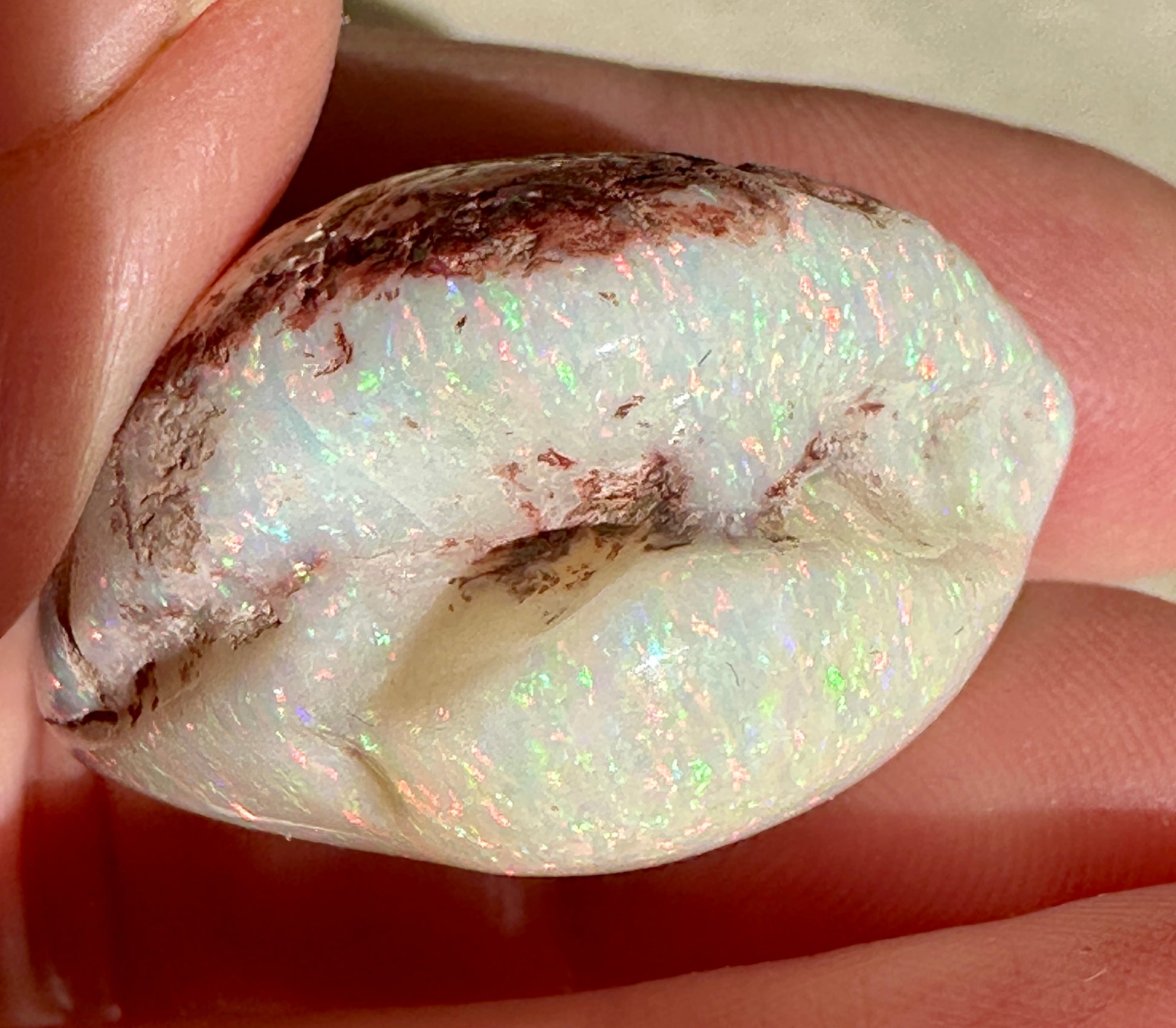 Opal Essence Opalized Cockle Shell multicoloured Pendant 