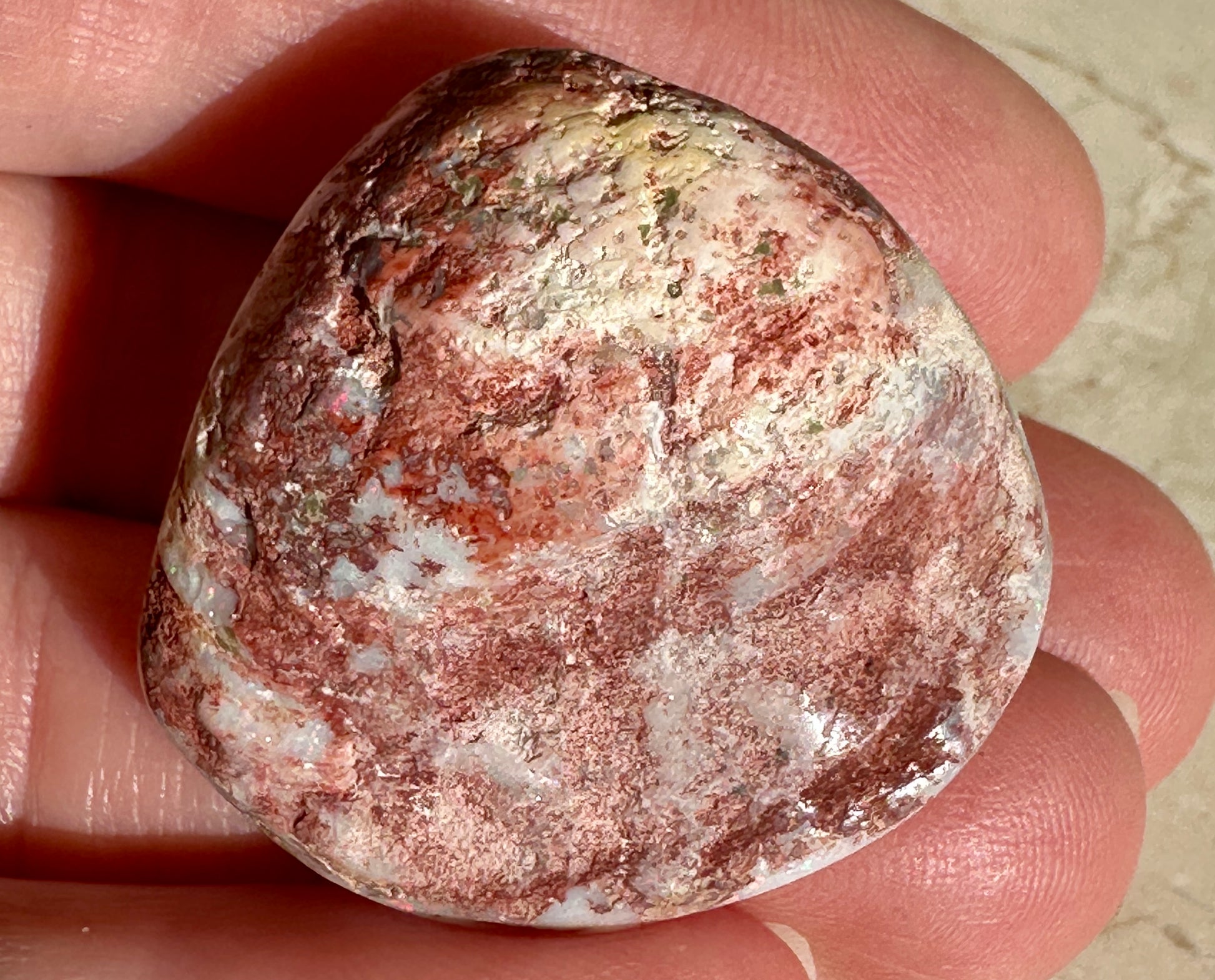 Opal Essence Opalized Cockle Shell multicoloured Pendant 