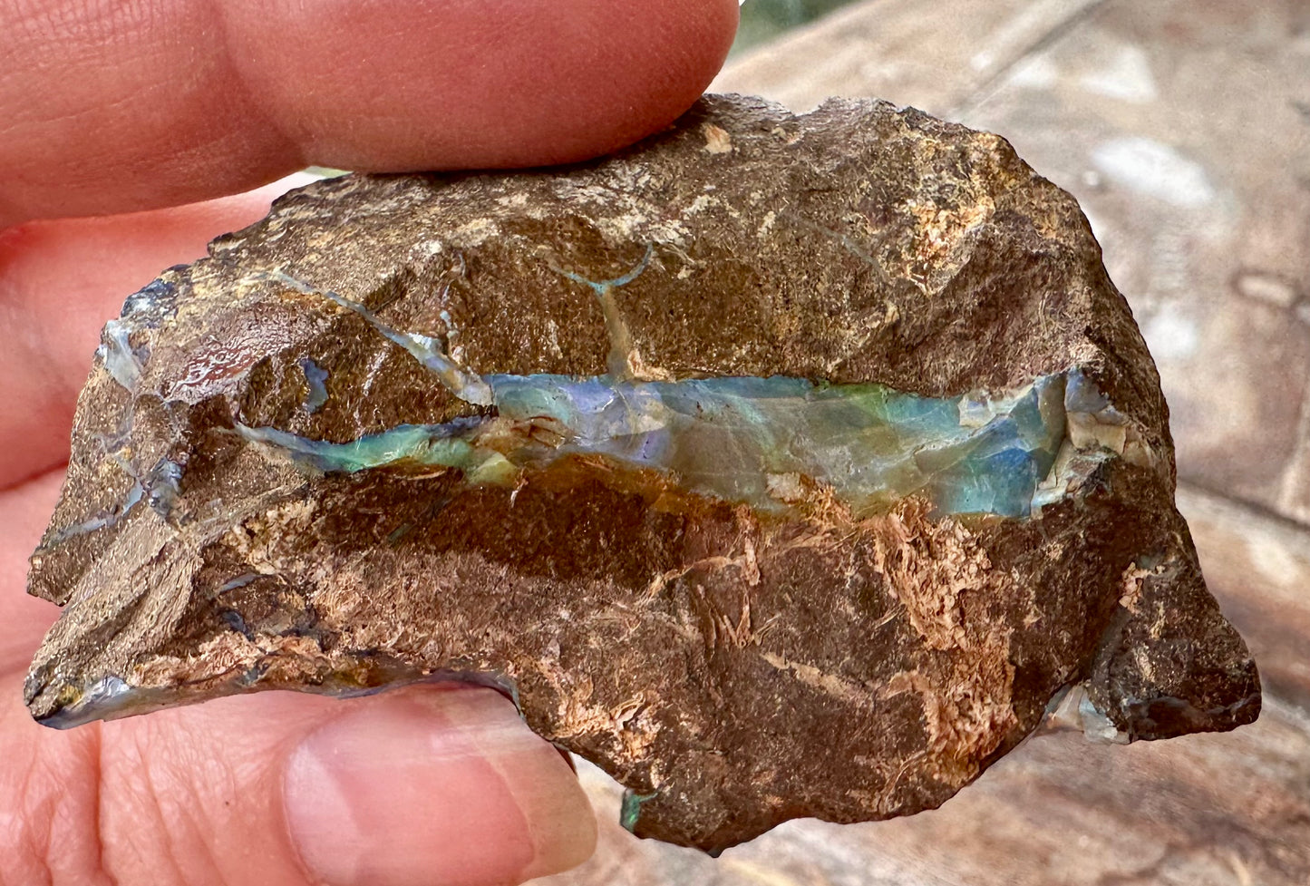 Australian Queensland Boulder Opal Specimen