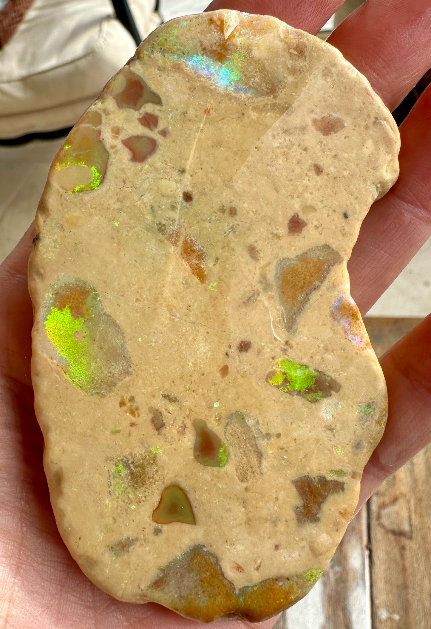Unique Natural Australian Andamooka matrix opal 399.9 cts
