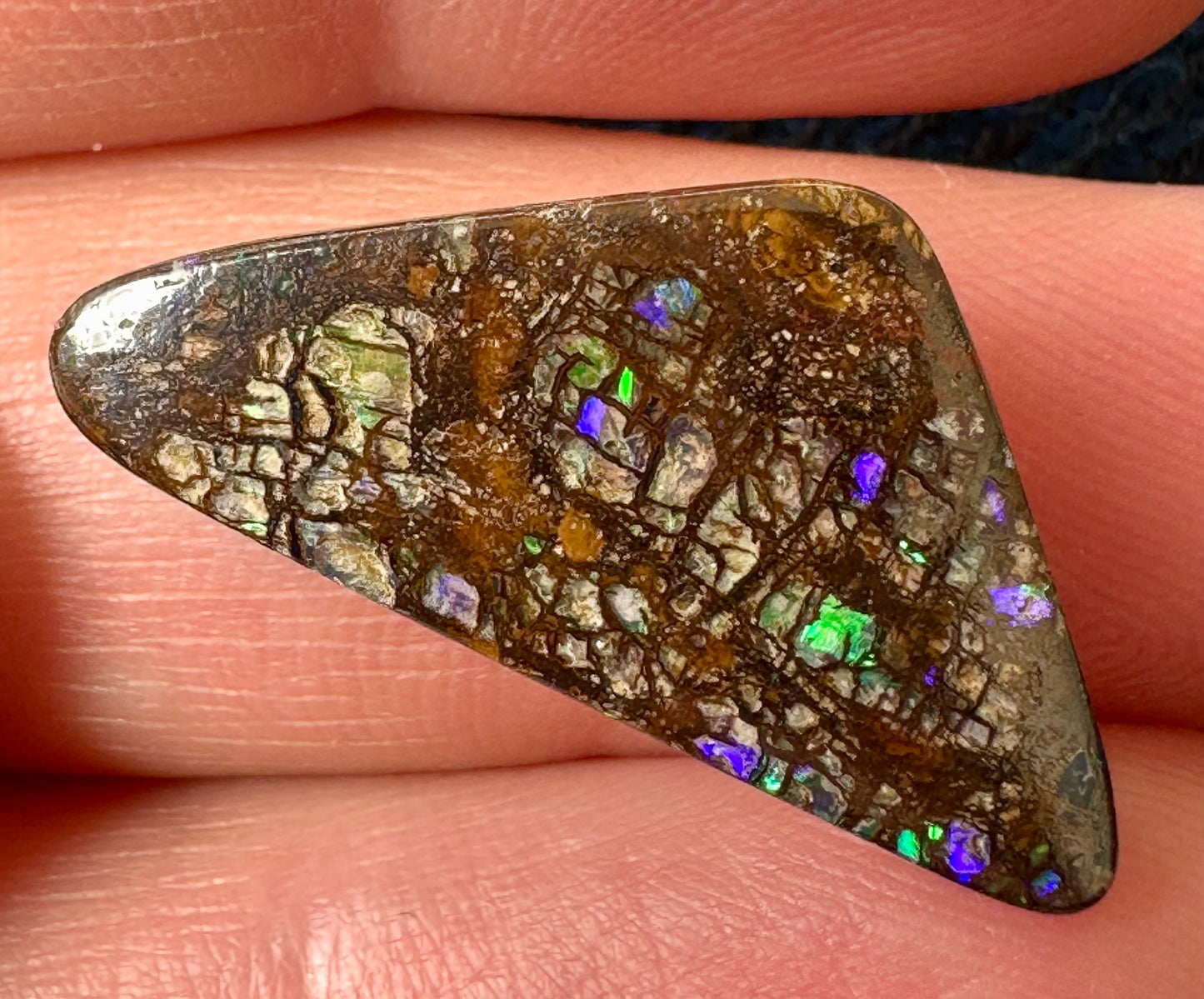 Triangular Queensland Boulder Opal 12.5 cts