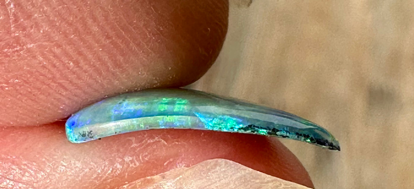 Australian Skinny Shell Crystal Solid Opal 15 x 12mm 1.8 cts