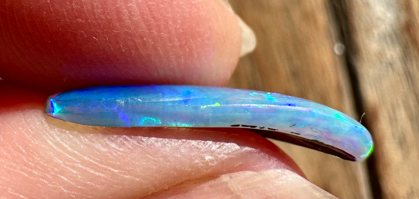 Australian Skinny Shell Crystal Solid Opal 20 x 8 mm 2.1 cts