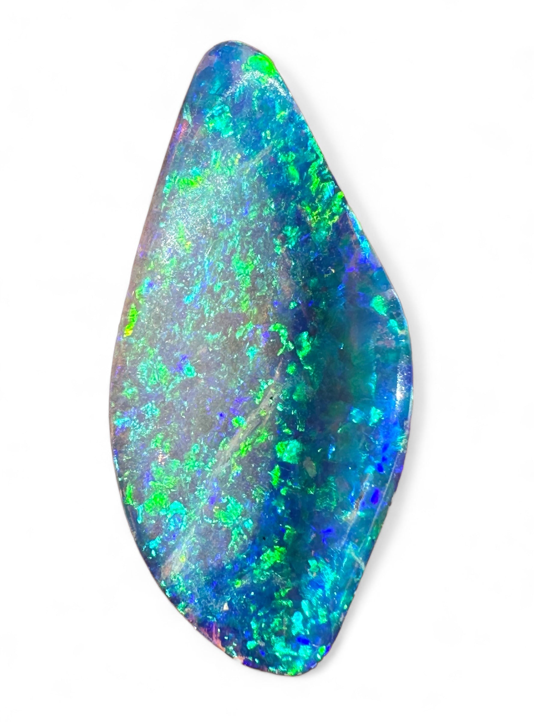 Australian Skinny Shell Crystal Solid Opal 23x11mm 2.1 cts