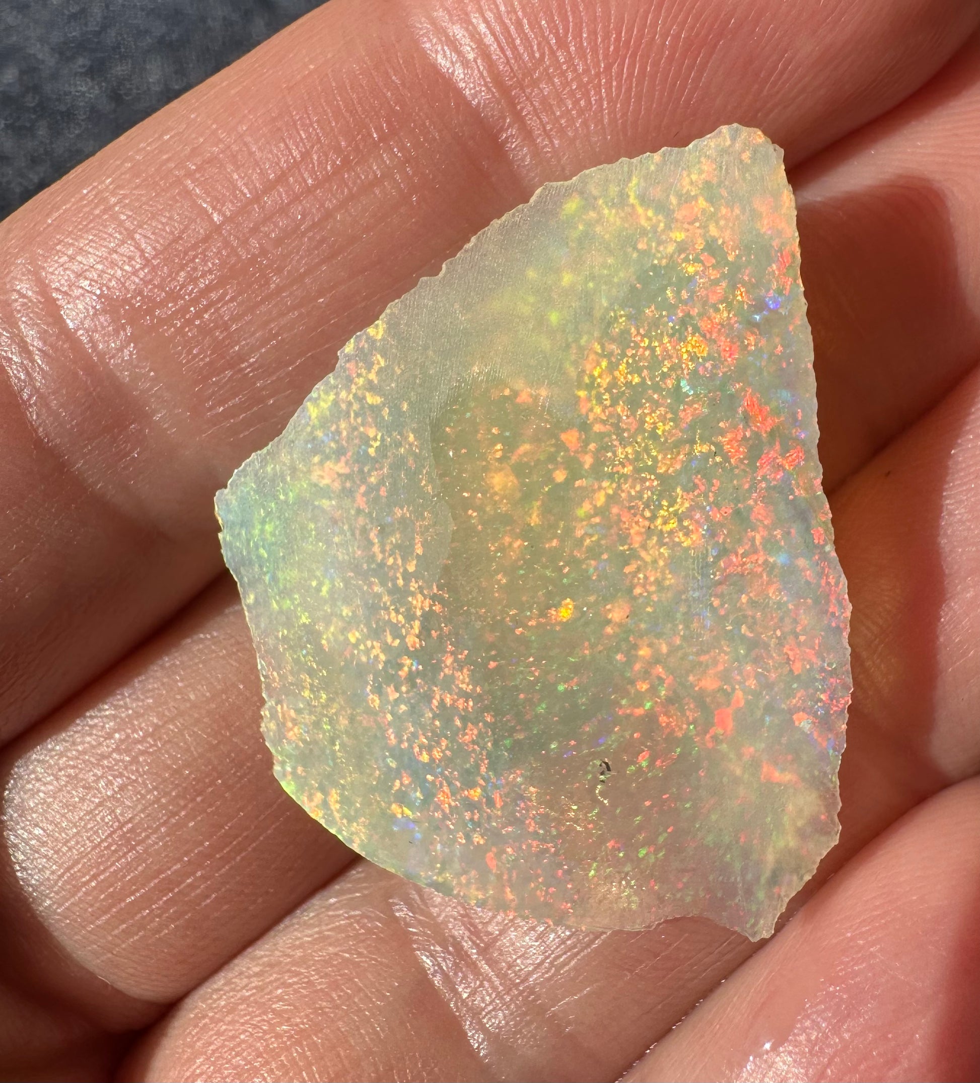 Australian rough uncut opal 19.84 cts 36x30mm