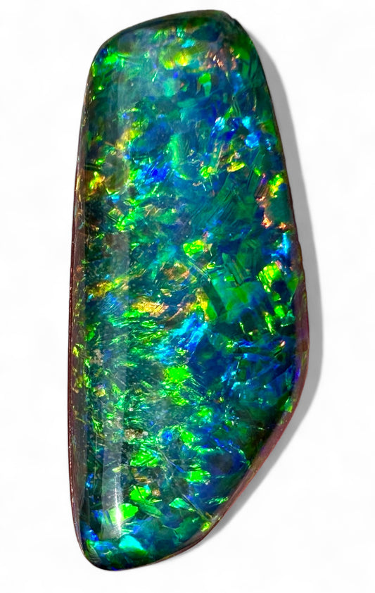 Gem Grade Freeform Opal Triplet 24x11 mm 9.55 cts