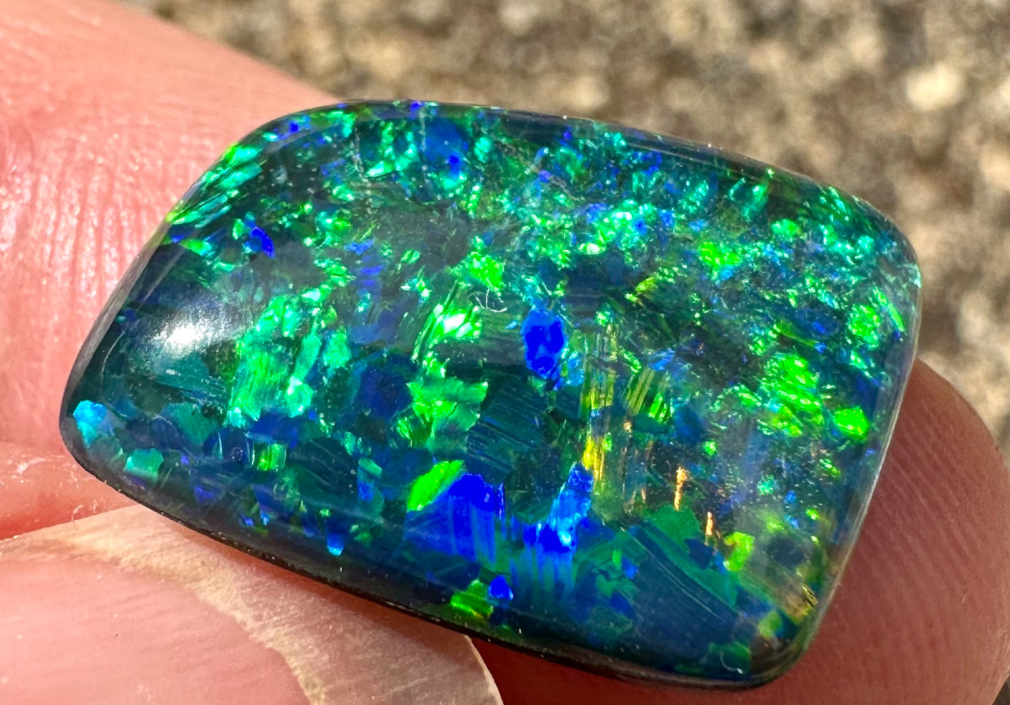 Super Gem Opal Triplet 16x12 mm 8.25 cts