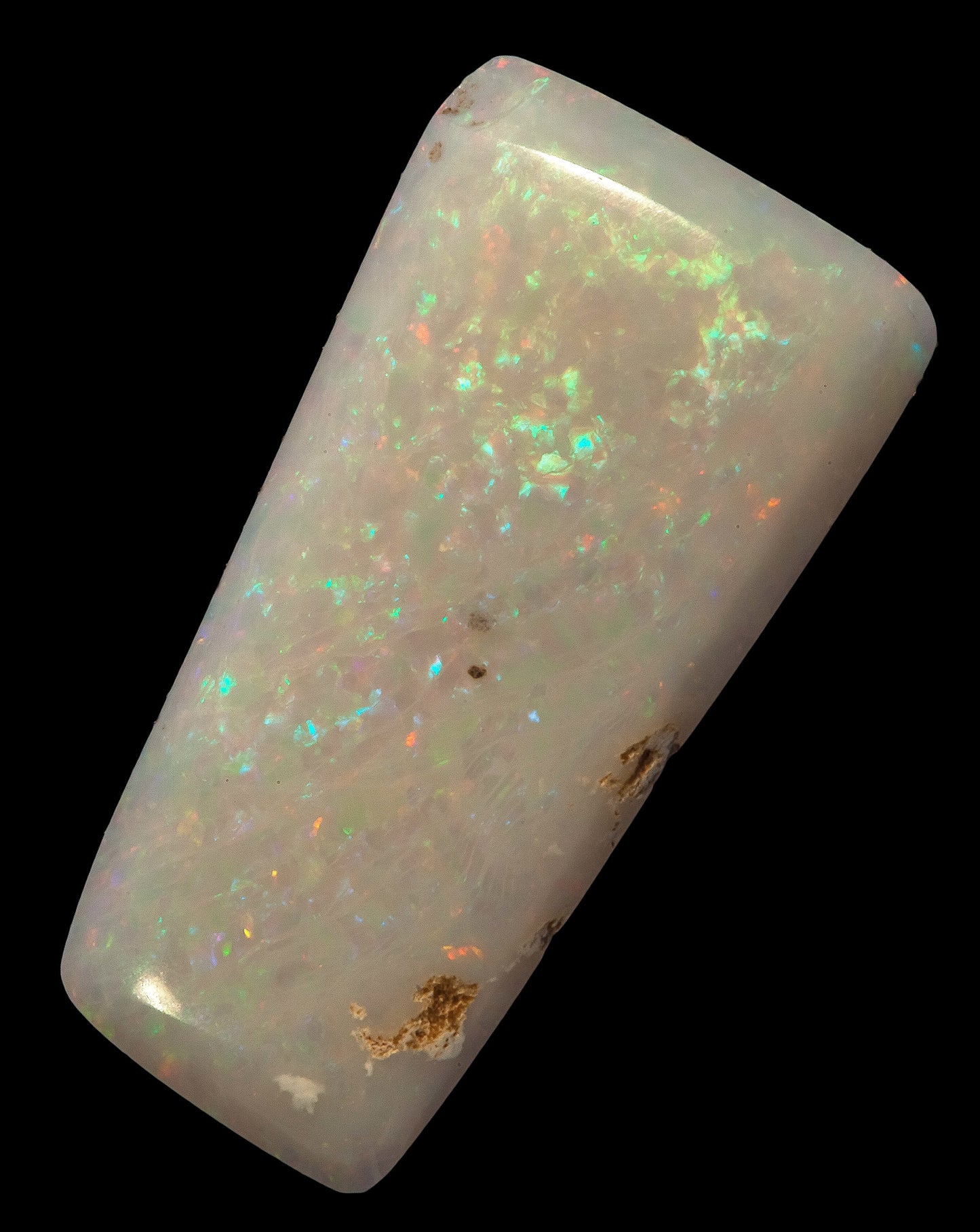 Genuine Australian Opal Belemnite