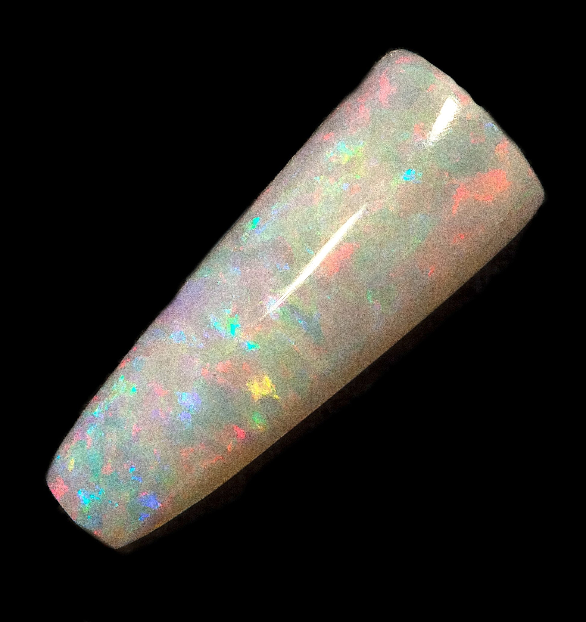 Genuine Australian Opal Belemnite - Opal Essence Wholesalers 