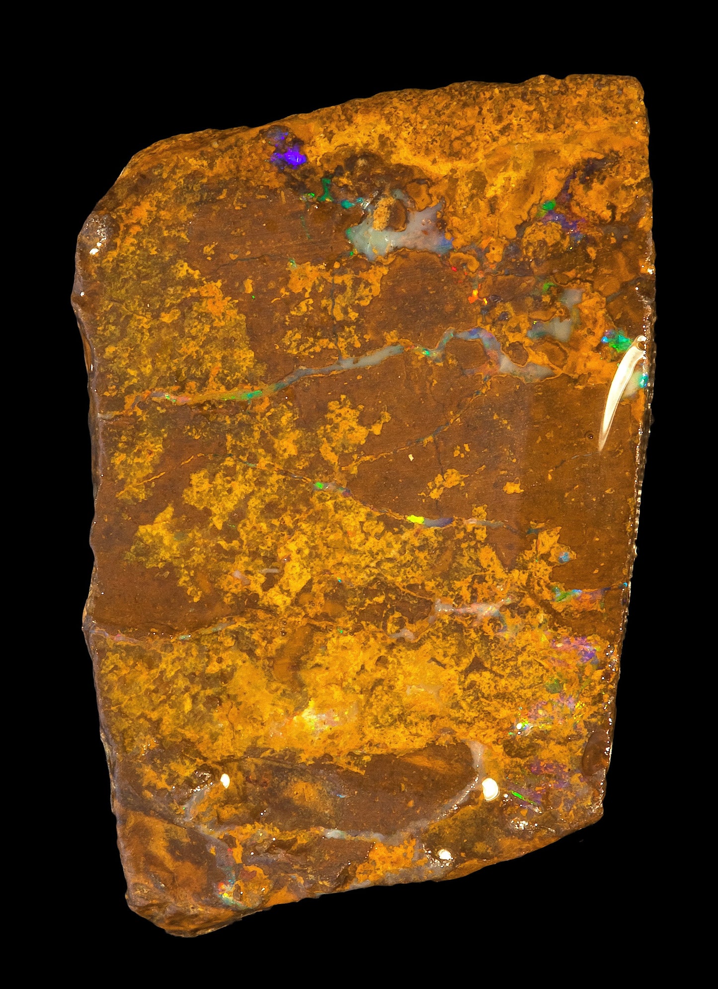 Queensland Boulder Pipe Opal
