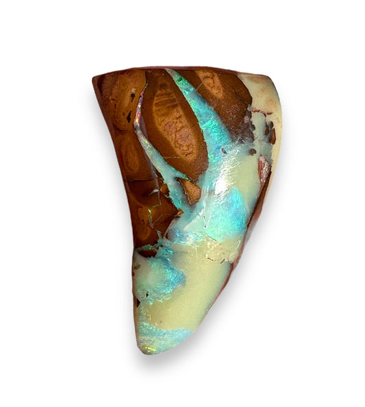 Shark tooth shape Australian Boulder Opal 23 cts 