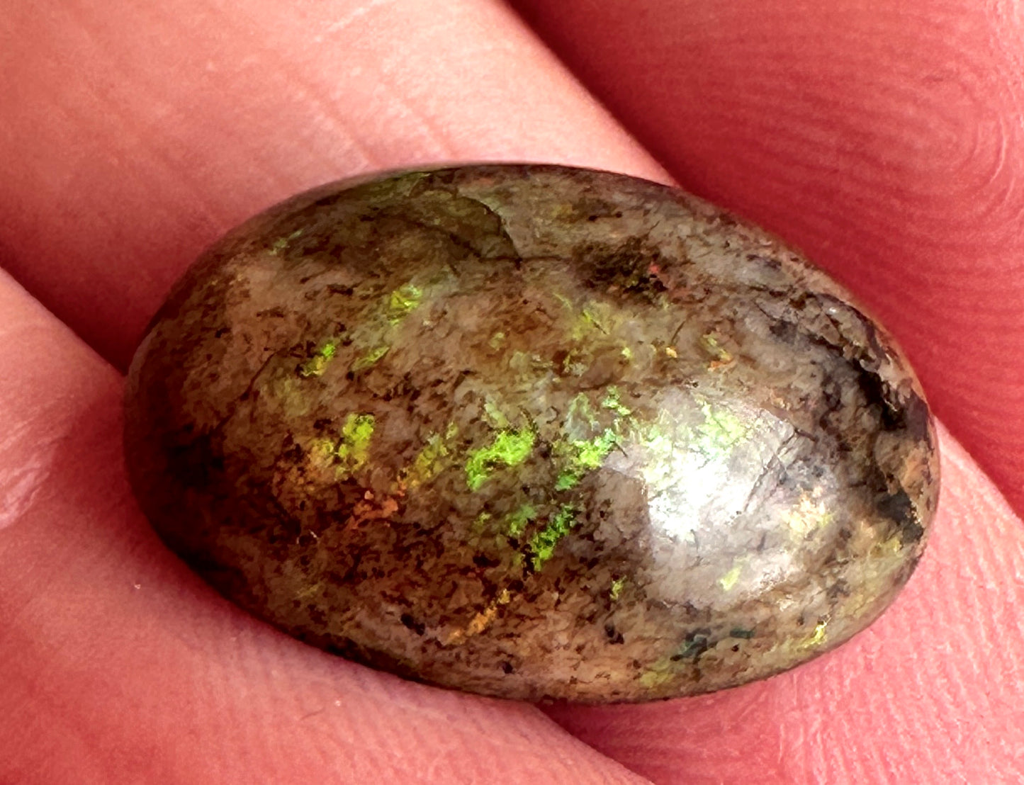 Australian Andamooka Matrix Opal Cabochon 8ct