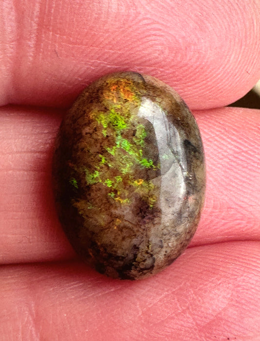 Australian Andamooka Matrix Opal Cabochon 8ct