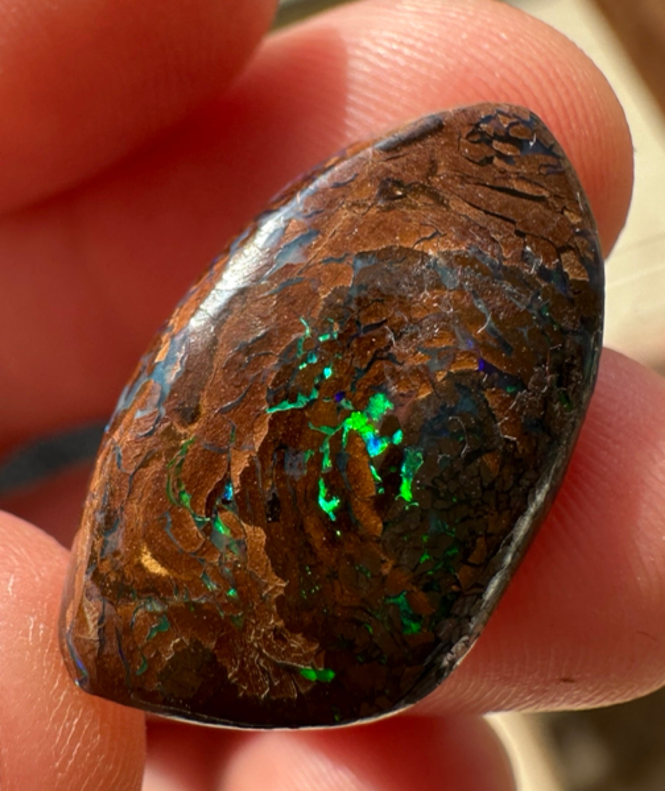 Australian Queensland Boulder multicolored unset pendant opal 12.12 ct