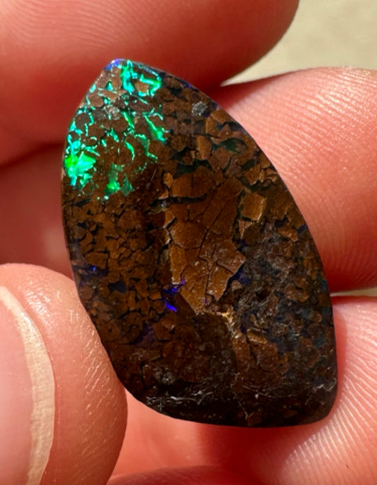 Australian Queensland Boulder multicolored unset pendant opal 12.12 ct