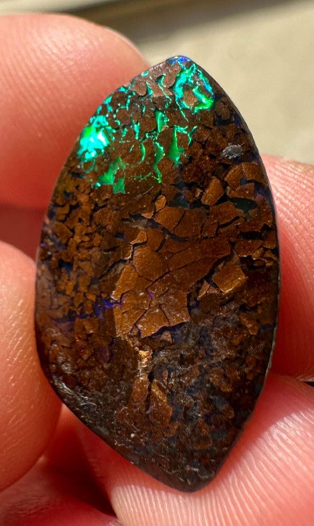 Australian Queensland Boulder multicolored unset pendant opal 12.12 ct