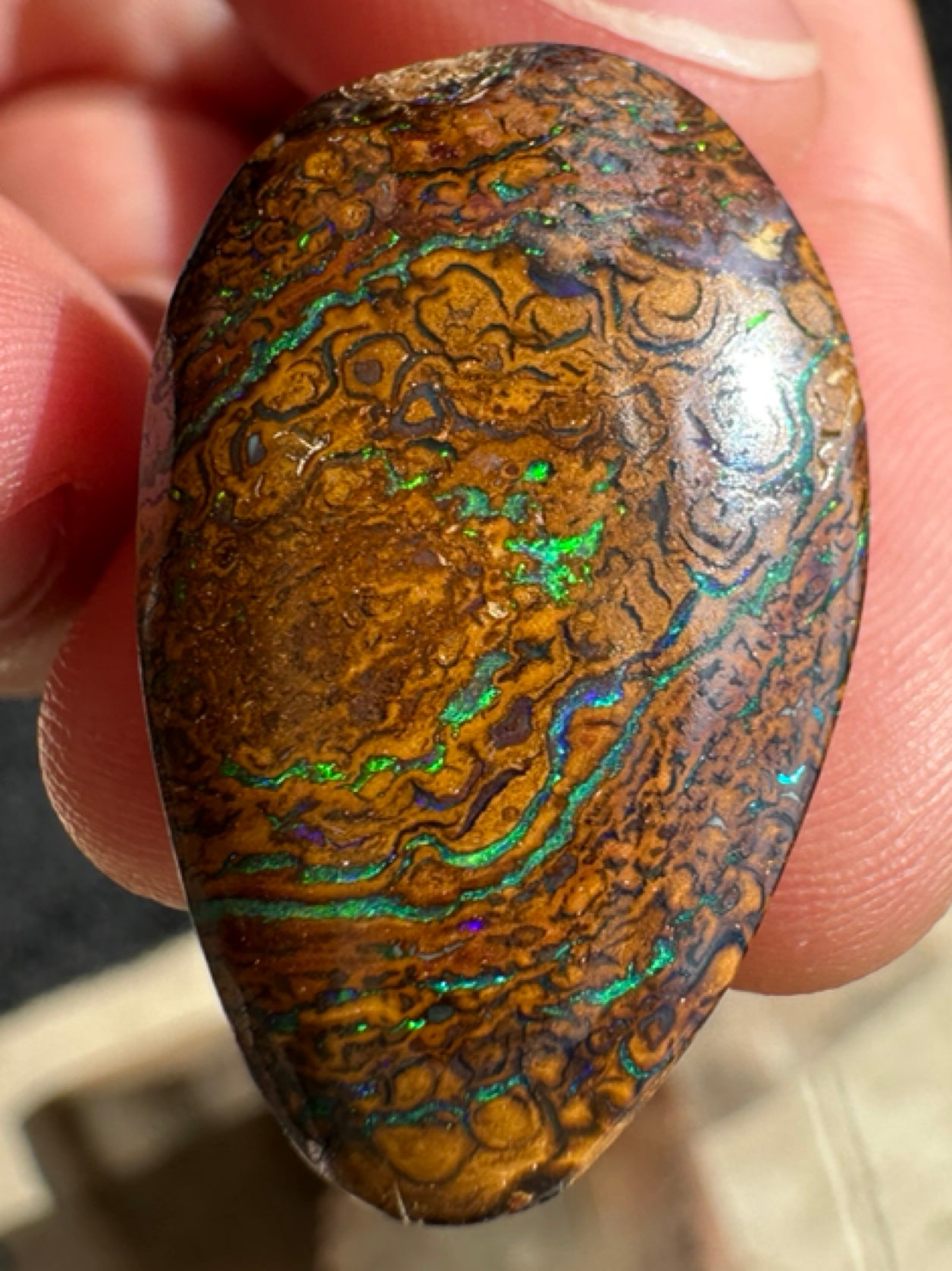 Australian Queensland Boulder multicolored unset pendant opal 25.20 ct