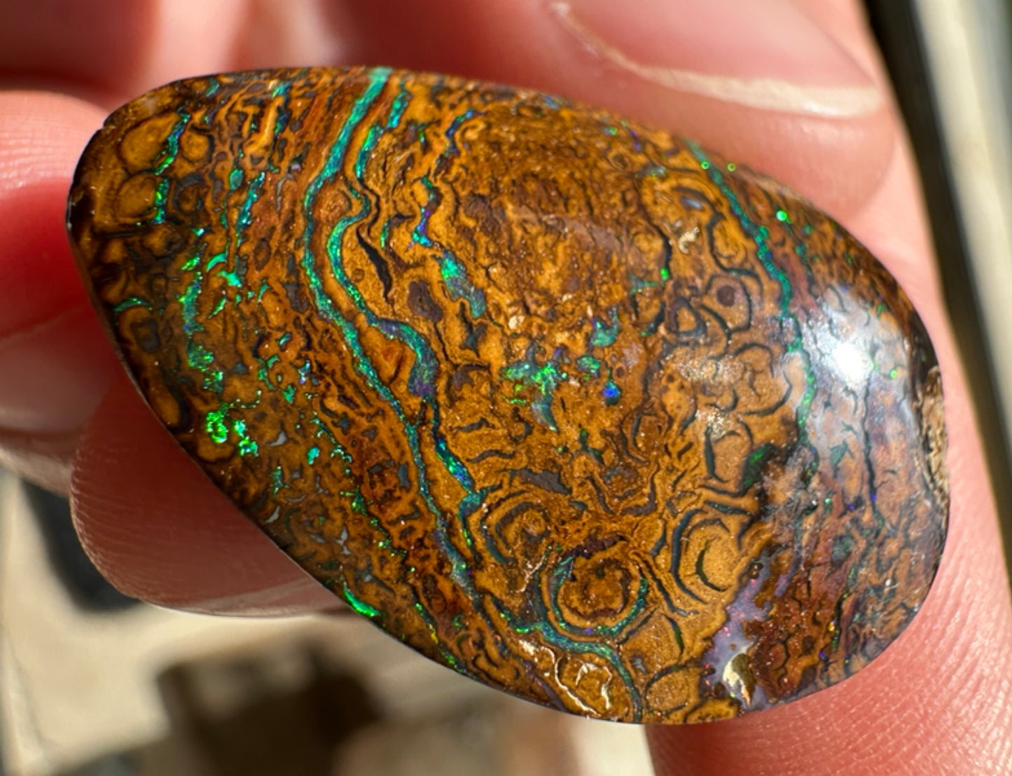 Australian Queensland Boulder multicolored unset pendant opal 25.20 ct