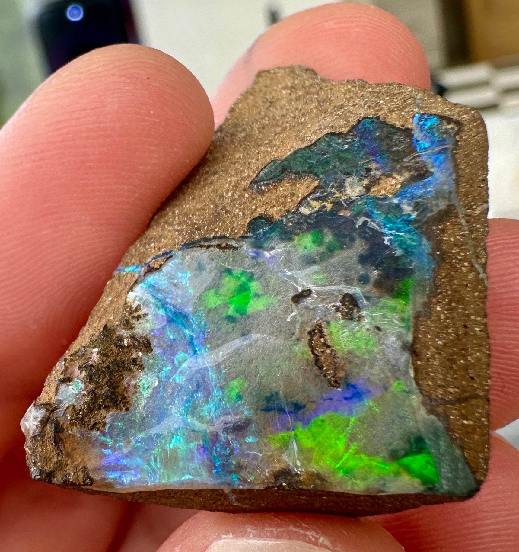 Queensland Boulder Opal 37.275cts - Electric Multi-Colour Flat Freeform ...