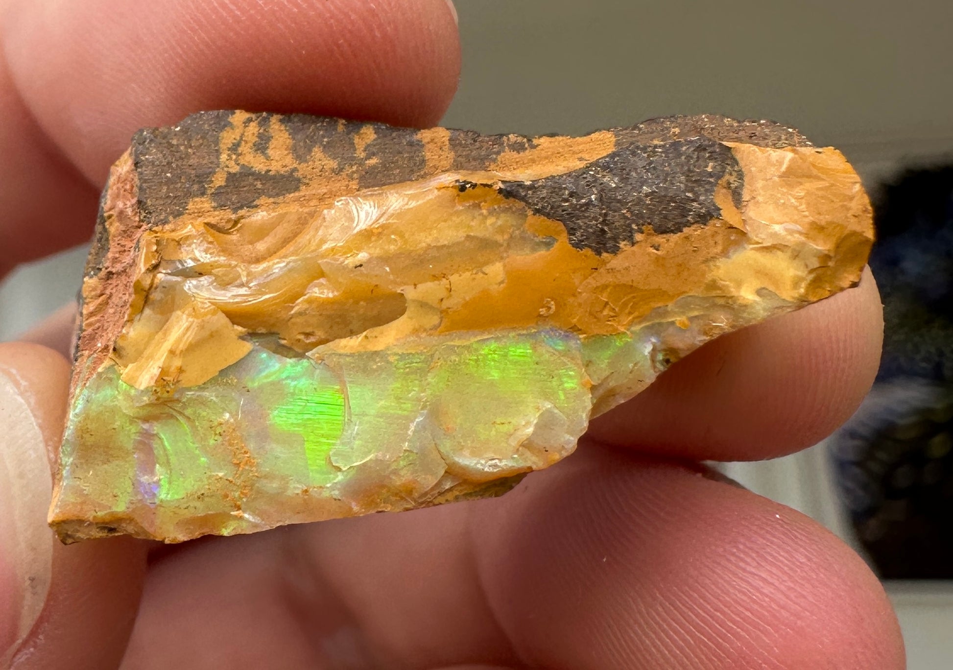 Australian Queensland Boulder opal rough large ring or pendant 42.87 cts