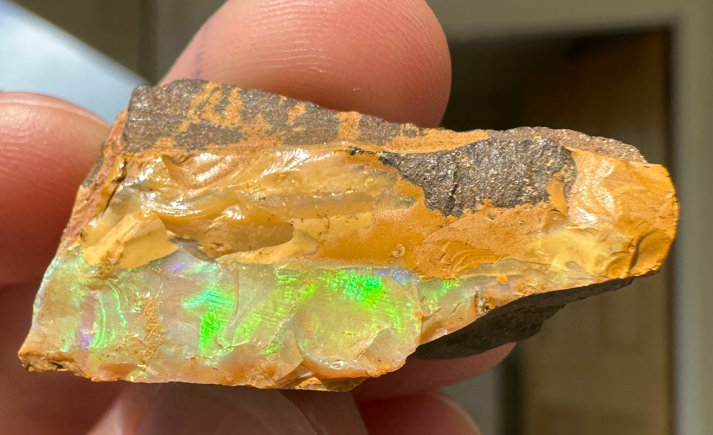 Australian Queensland Boulder opal rough large ring or pendant 42.87 cts